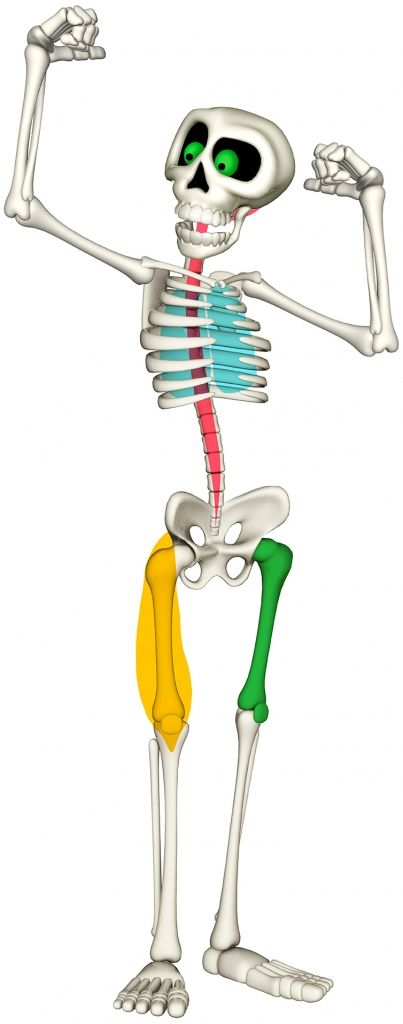 fisioterapia barcelona