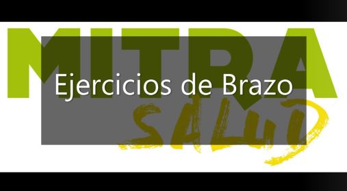 brazo
