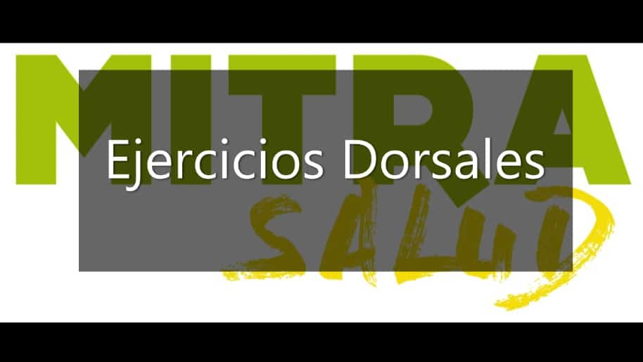 ejercicios dorsales